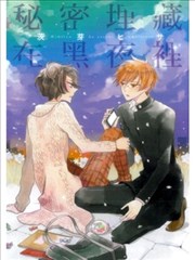 秘密埋藏在黑夜里