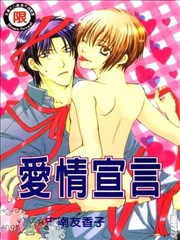 爱情宣言